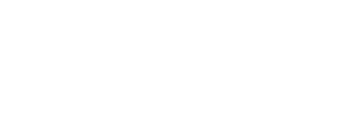 Logo Instinct